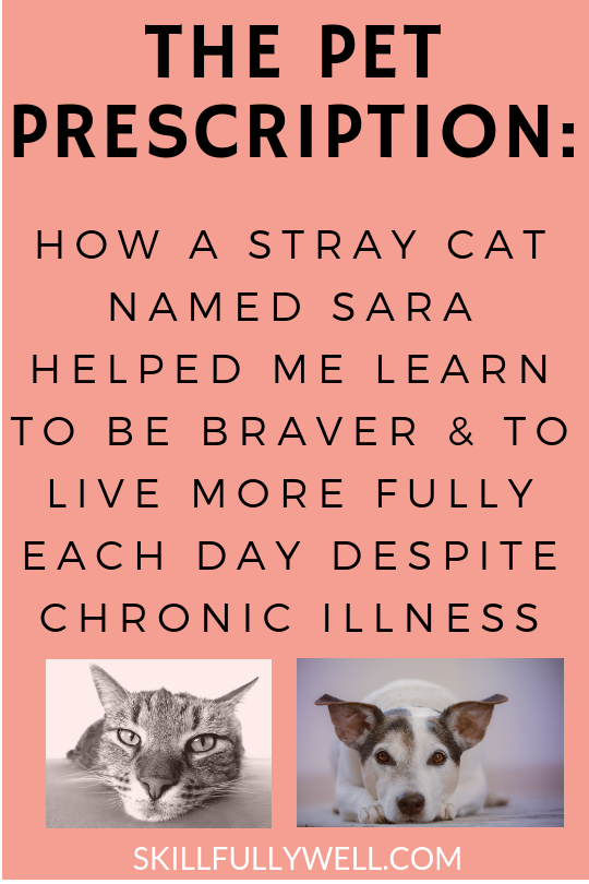 THE PET PRESCRIPTION: HOW A STRAY CAT NAMED SARA HELPED ME LEARN TO BE BRAVER & TO LIVE MORE FULLY EACH DAY DESPITE CHRONIC ILLNESS